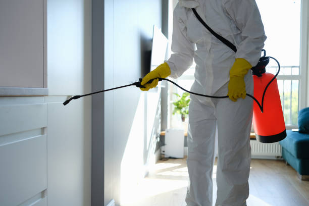 Best Certified Mold Removal  in North Amityville, NY
